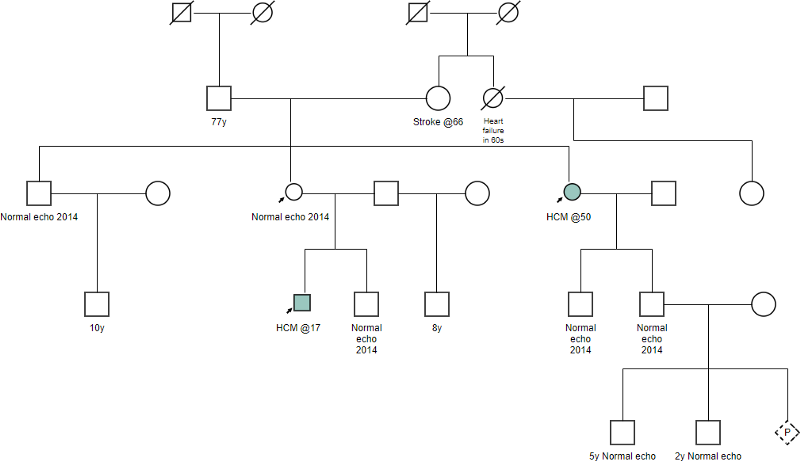 What is a Pedigree Chart? How to Draw One? - Media Maya