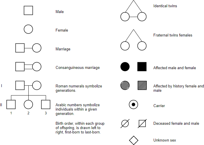 家系図とは何ですか？1つを描く方法は？ - サイバーメディアン