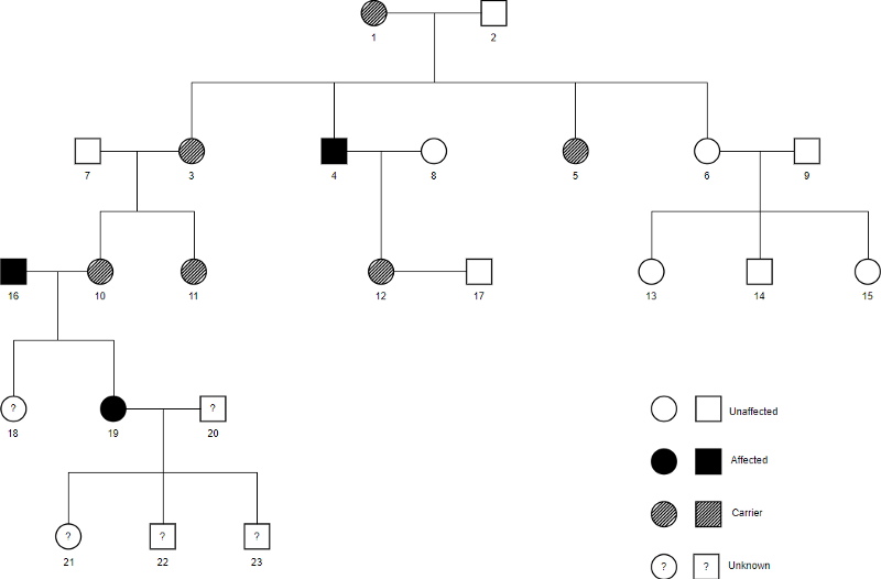 How To Make Your Own Pedigree Chart Best Picture Of Chart